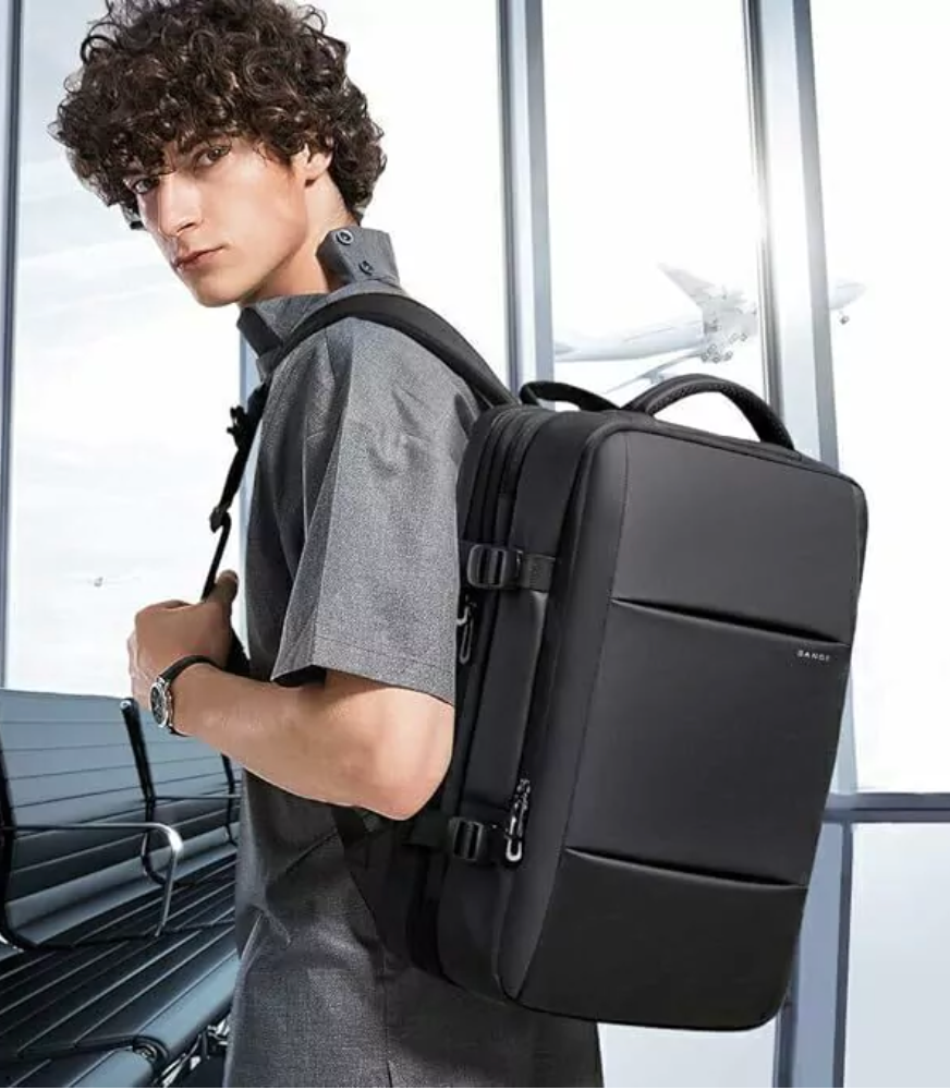 Llegados recientemente